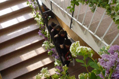 DSC00969