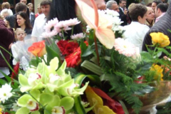 DSCF0286