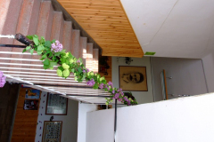 DSCF4564
