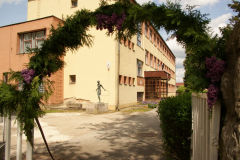 SONY DSC
