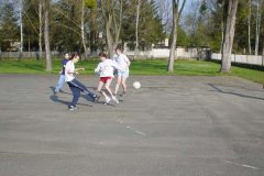DSC00049