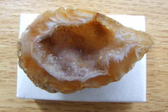 diaknap0617