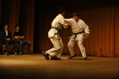 SONY DSC