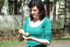 DSCF8134