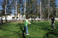 DSCF0337