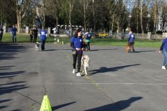 IMG_2508