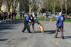 IMG_2563