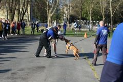 IMG_2565