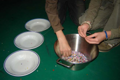 golya07361