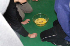 golya0754