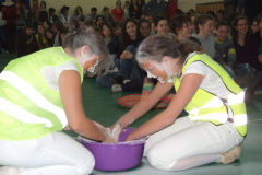 DSCF5688