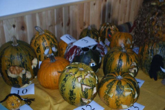 hallowen 034