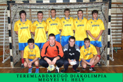 teremfoci_megyei6_2008_2009