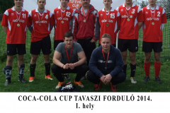 GONCZI 1 (1)