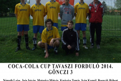 GONCZI 1 (3)