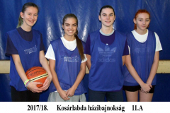 11A_lany_kosar