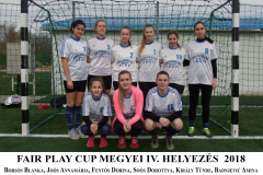 Lany_megyei_negyedik2018