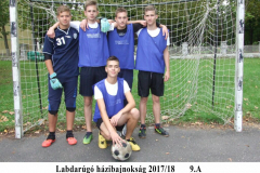 foci_7