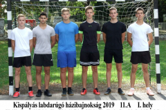 11A_foci_hazibajnoksag