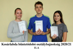kosarbunteto_11A
