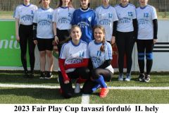 FAIR-PLAY-ARANYLABUAK_MASODIK