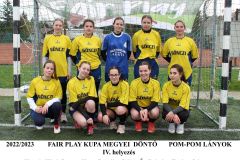 FAIR-PLAY-MEGYEI-LANY