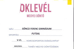 futsal-oklevel