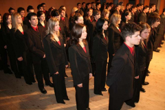 szalag06157